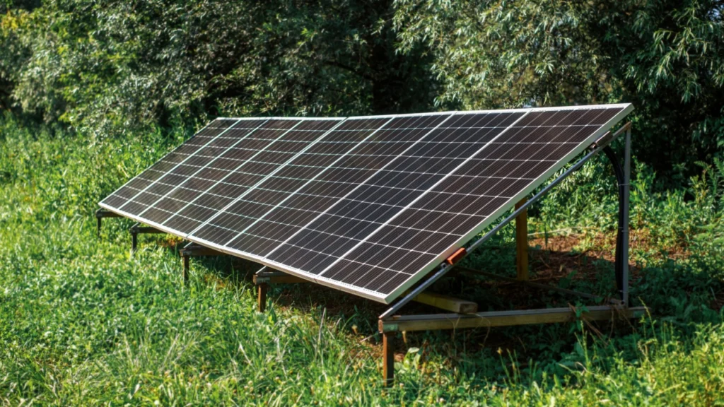 Painéis solares instalados no chão, em meio à vegetação de uma área rural